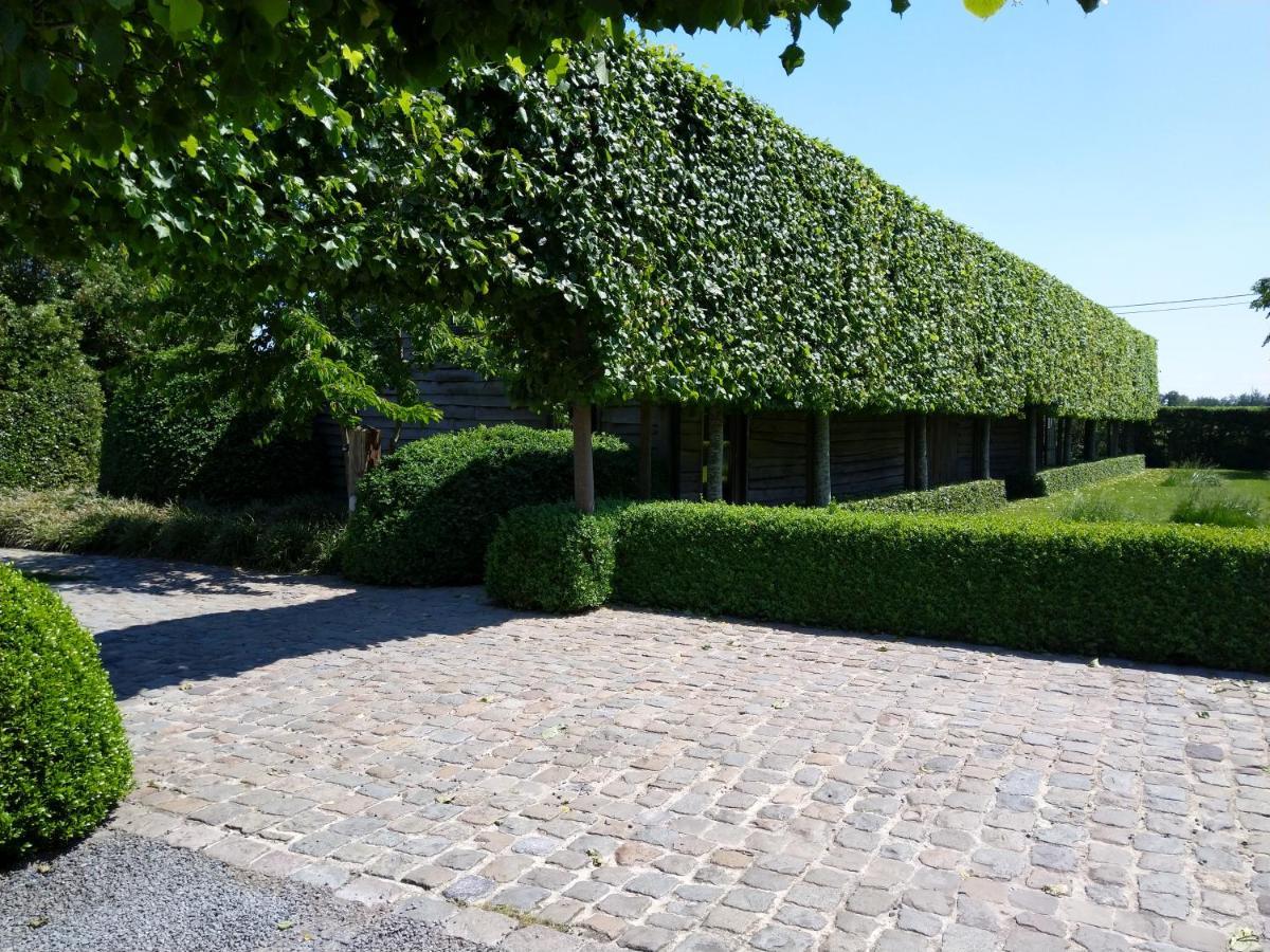 B&B De Hulst อิเซเคม ภายนอก รูปภาพ
