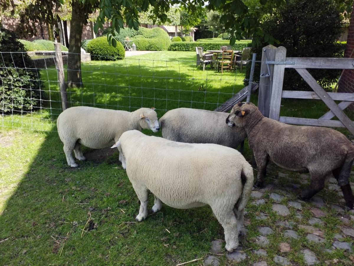 B&B De Hulst อิเซเคม ภายนอก รูปภาพ