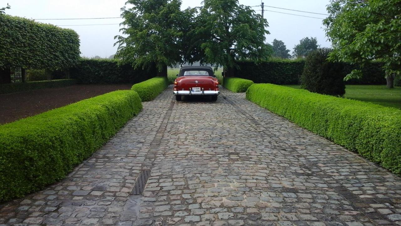 B&B De Hulst อิเซเคม ภายนอก รูปภาพ