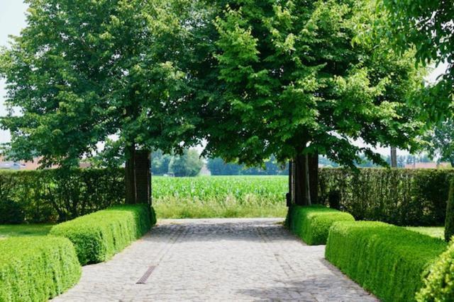 B&B De Hulst อิเซเคม ภายนอก รูปภาพ