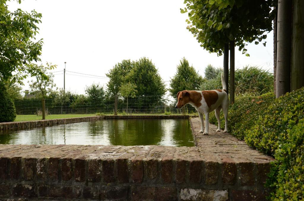 B&B De Hulst อิเซเคม ภายนอก รูปภาพ